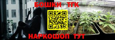 МДПВ Тула