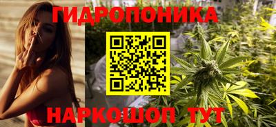 прущие грибы Туймазы