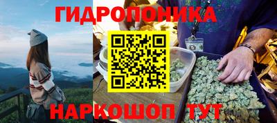 прущие грибы Туймазы