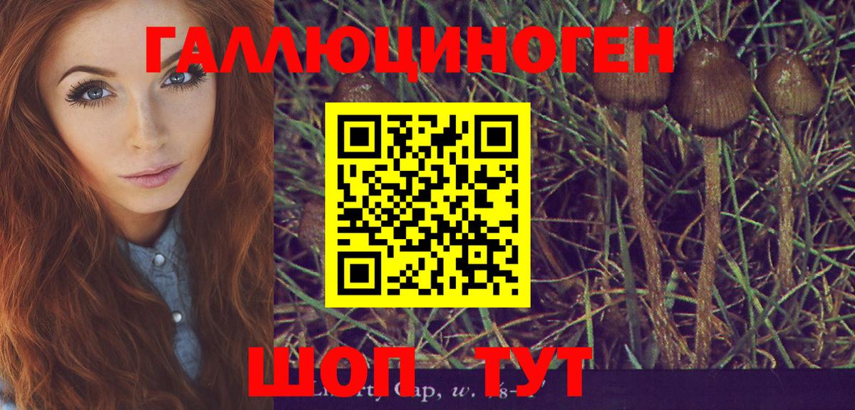 Псилоцибиновые грибы мицелий Отрадное