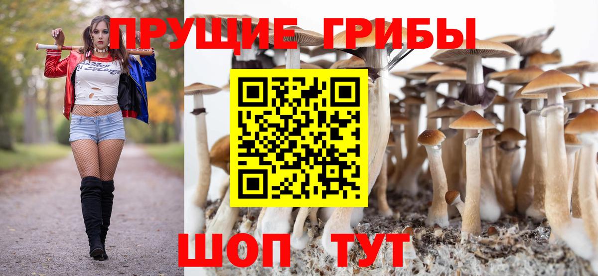 Галлюциногенные грибы Magic Shrooms  Вход с VPN  Отрадное 